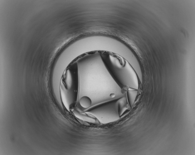 X0000114200399200911061428