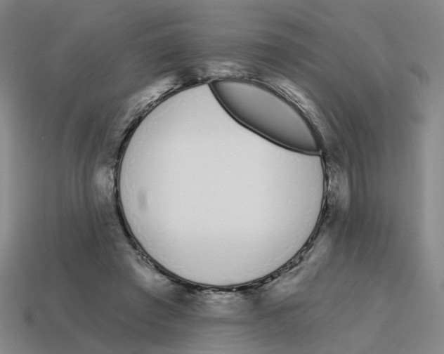 X0000114200401200911061428