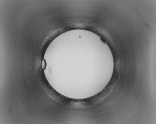 X0000114200407200911061428