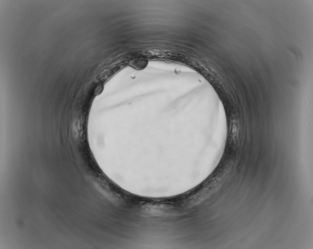 X0000114200408200911061428