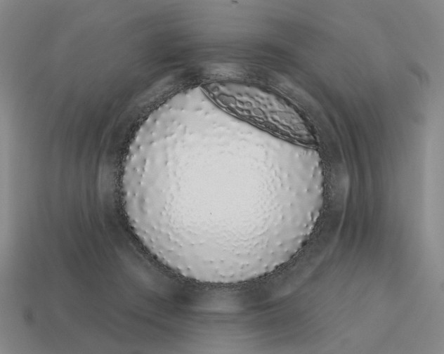 X0000114200409200911061428