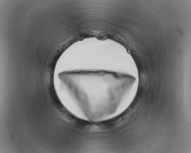 X0000114200412200911061428