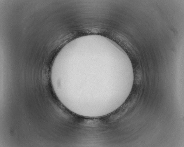 X0000114200414200911061428