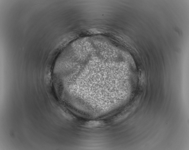 X0000114200418200911061428