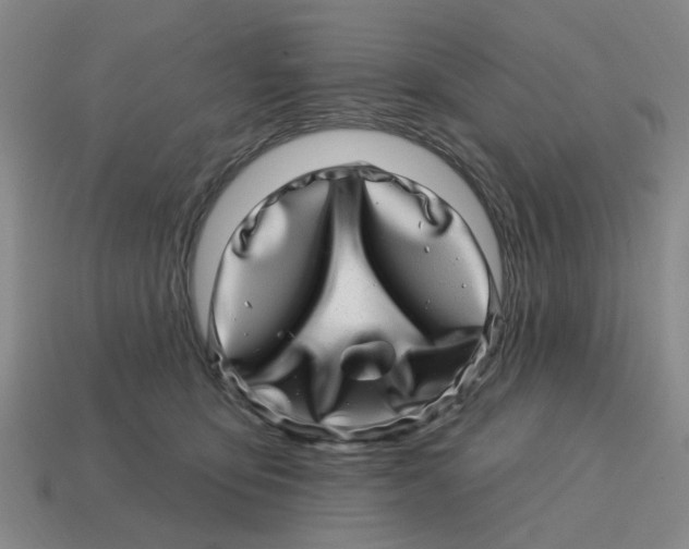 X0000114200419200911061428