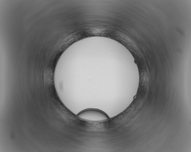 X0000114200421200911061428