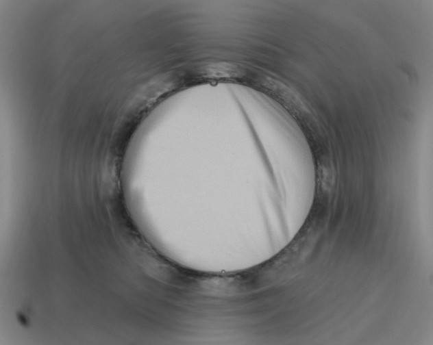 X0000114200422200911061428