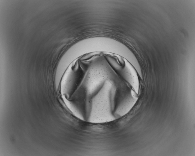 X0000114200423200911061428