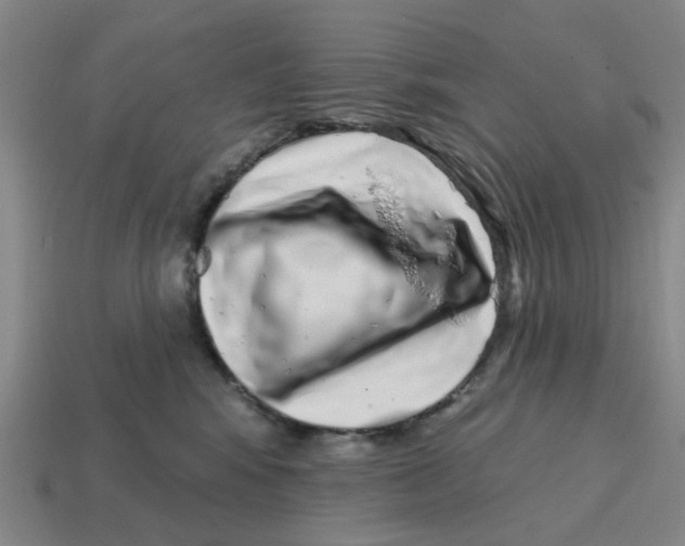 X0000114200424200911061428