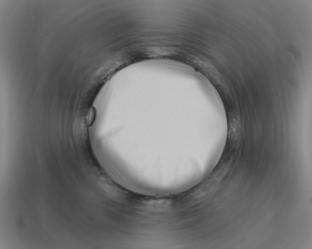 X0000114200426200911061428