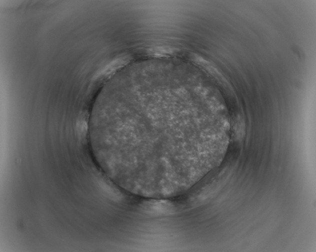 X0000114200427200911061428