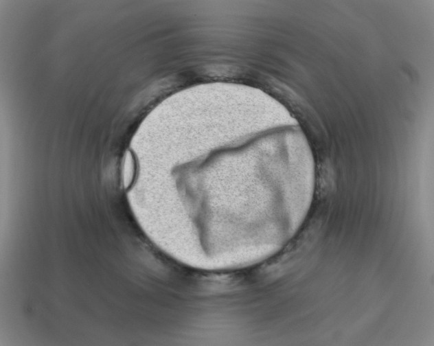 X0000114200428200911061428