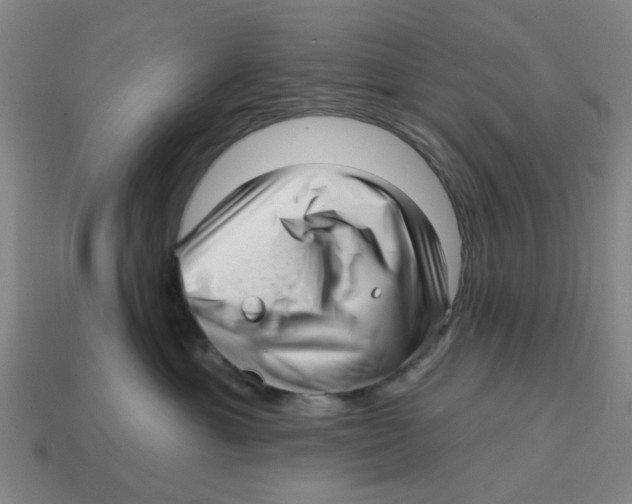 X0000114200429200911061428