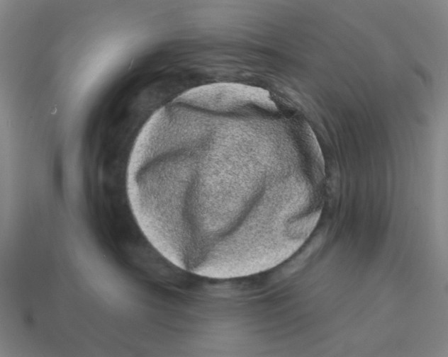 X0000114200430200911061428