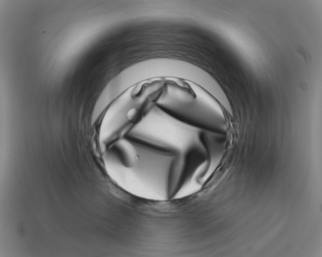 X0000114200431200911061428