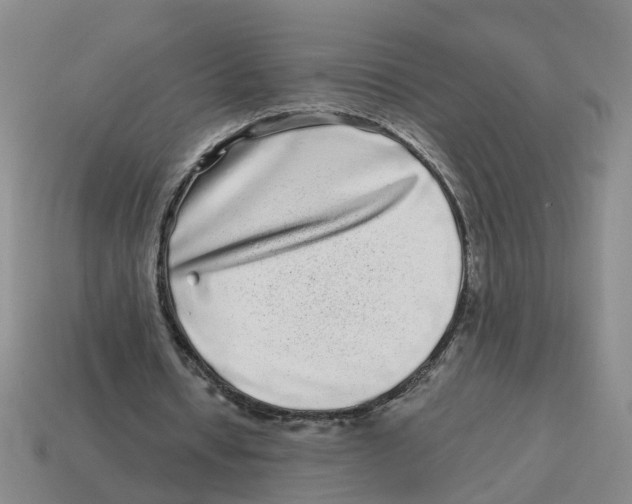 X0000114200434200911061427