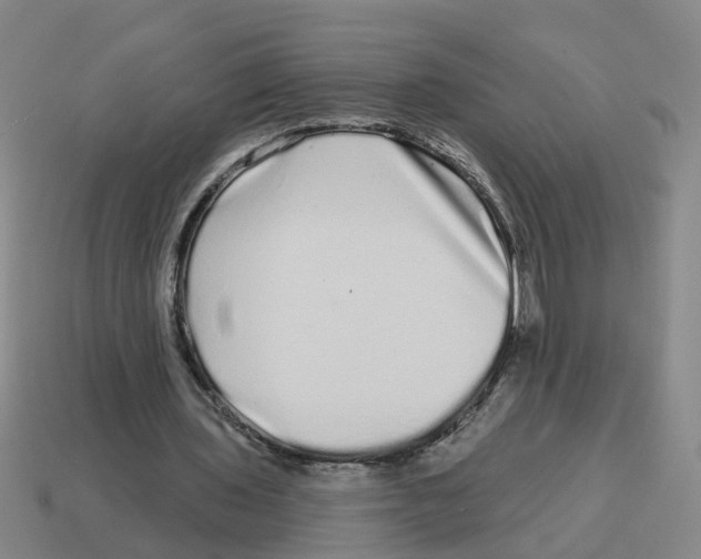 X0000114200435200911061427