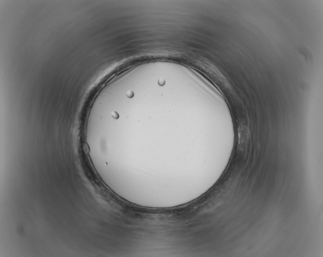 X0000114200436200911061427