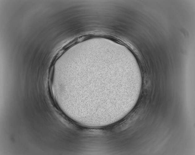 X0000114200437200911061428