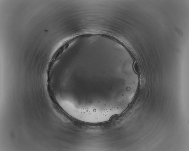 X0000114200438200911061428