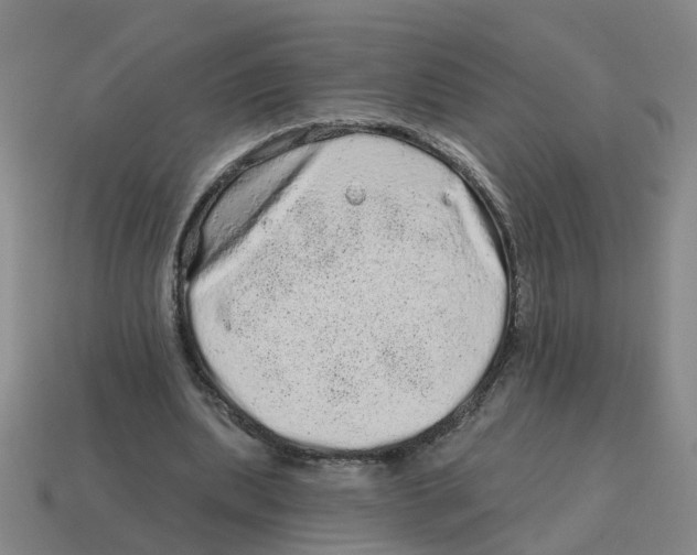 X0000114200439200911061428