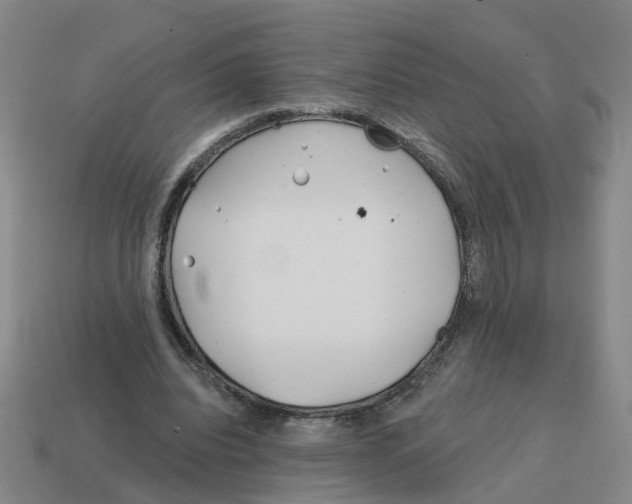 X0000114200440200911061428