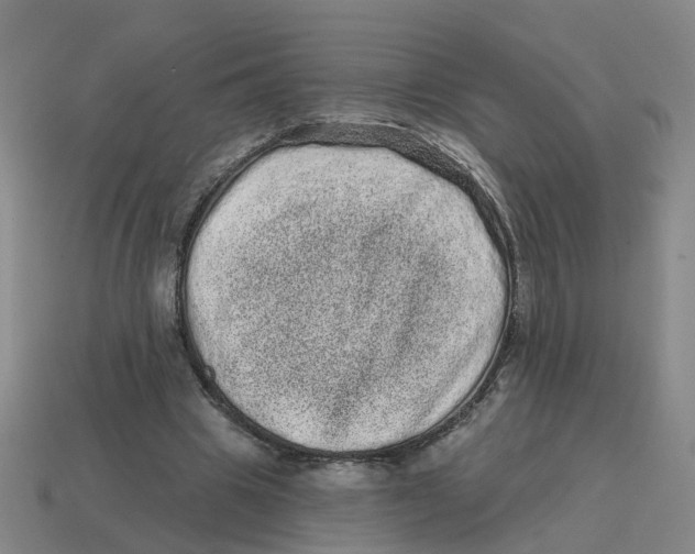 X0000114200441200911061428