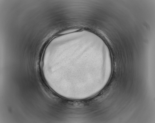 X0000114200443200911061428