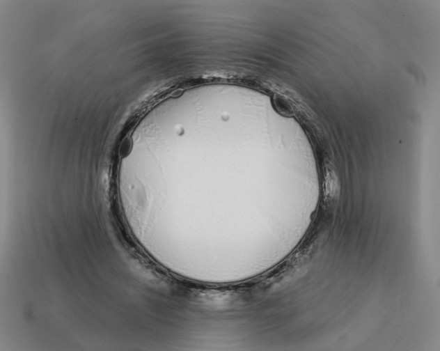 X0000114200444200911061428