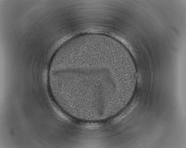 X0000114200445200911061428