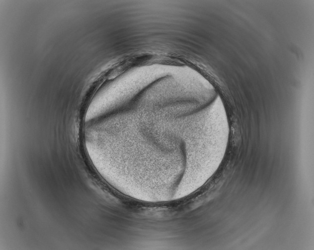 X0000114200446200911061428