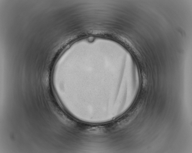 X0000114200447200911061428