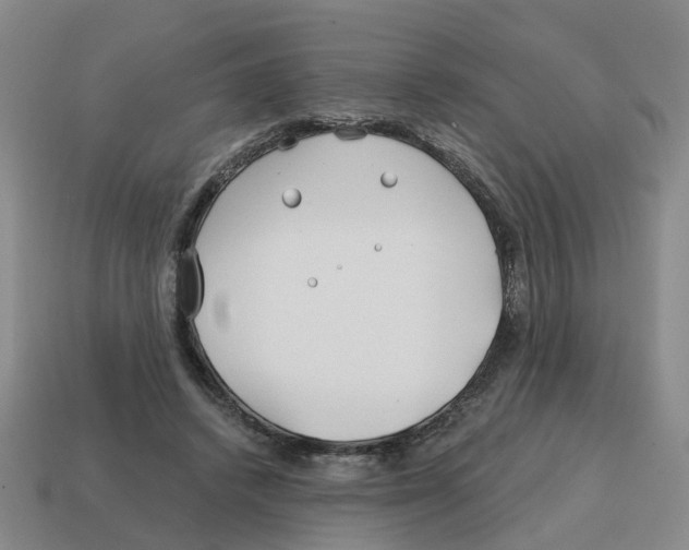 X0000114200448200911061428