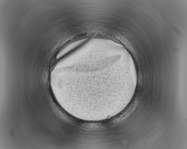 X0000114200449200911061428