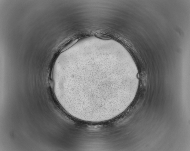 X0000114200450200911061428