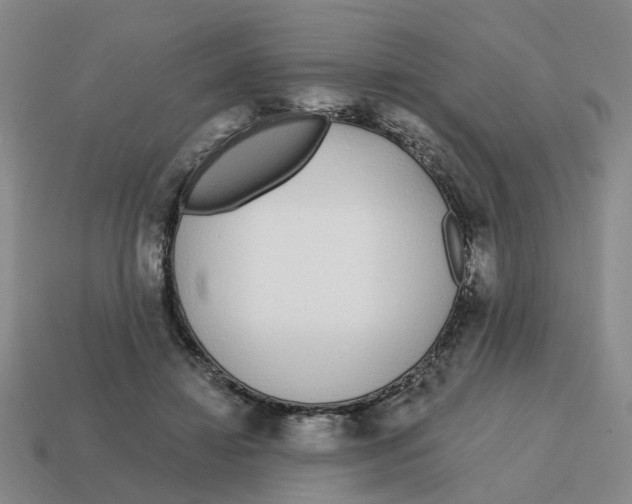 X0000114200452200911061428