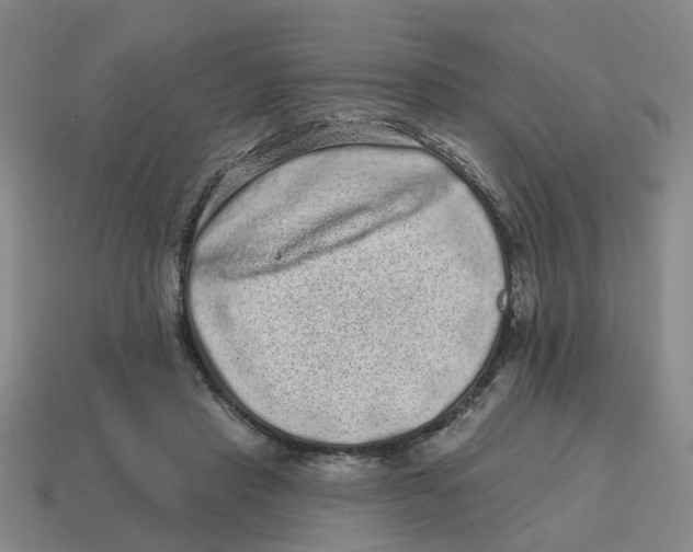 X0000114200453200911061428