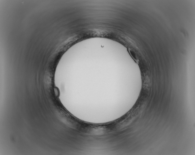 X0000114200456200911061428