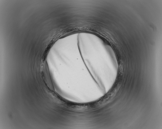 X0000114200458200911061428