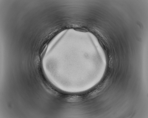 X0000114200459200911061428