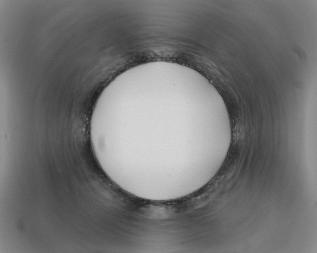 X0000114200464200911061428