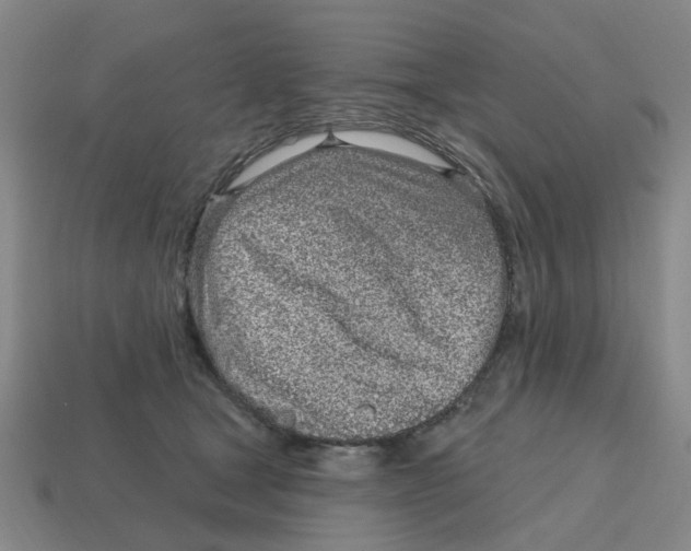 X0000114200465200911061428