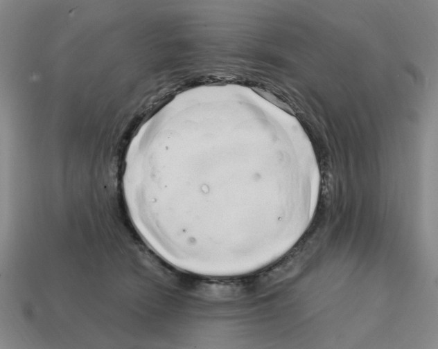 X0000114200466200911061428