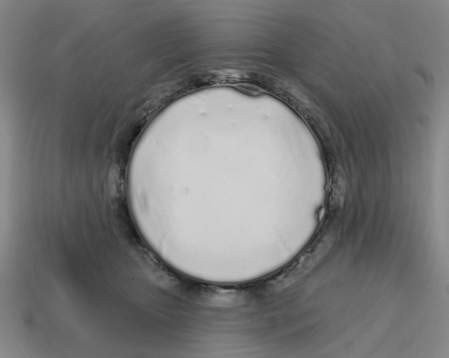 X0000114200467200911061428