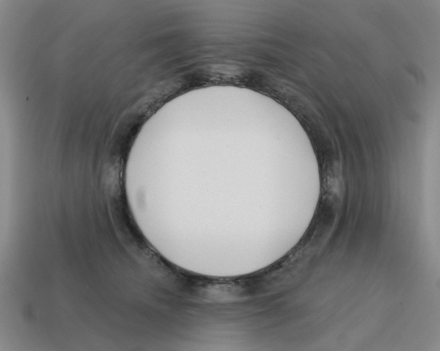 X0000114200468200911061428