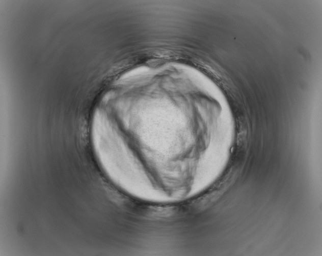 X0000114200469200911061428