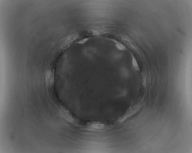 X0000114200471200911061428