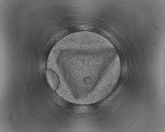 X0000114200473200911061428