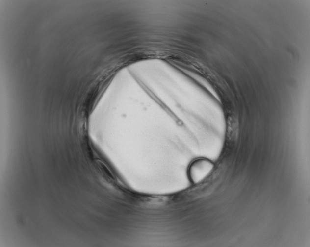 X0000114200474200911061428