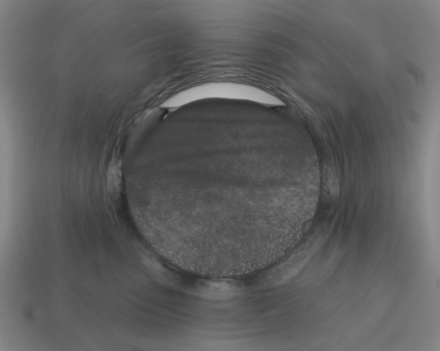 X0000114200475200911061428